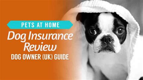 lv dog insurance reviews.